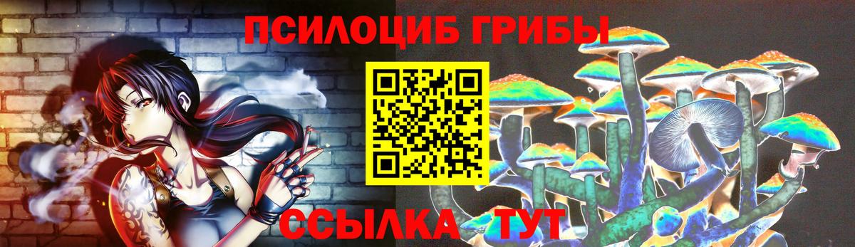 Псилоцибиновые грибы Psilocybine cubensis Смоленск