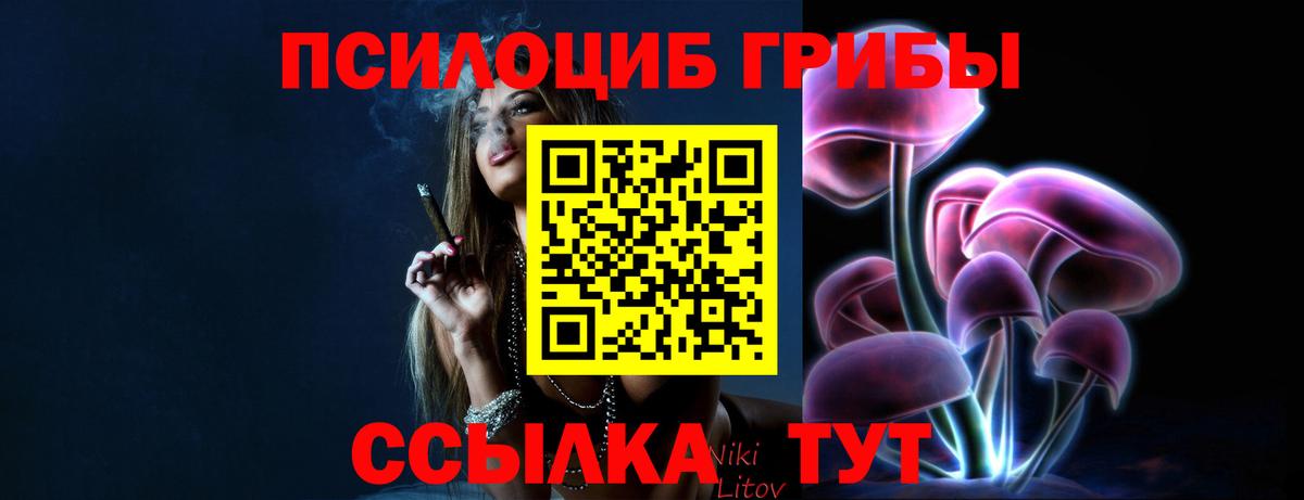 Псилоцибиновые грибы мухоморы  Вход с VPN  купить наркотики сайты  Смоленск 